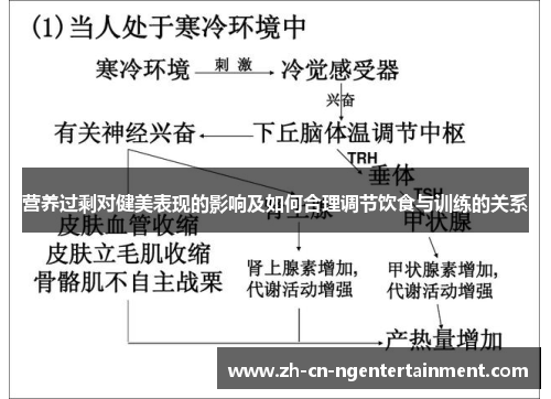 营养过剩对健美表现的影响及如何合理调节饮食与训练的关系