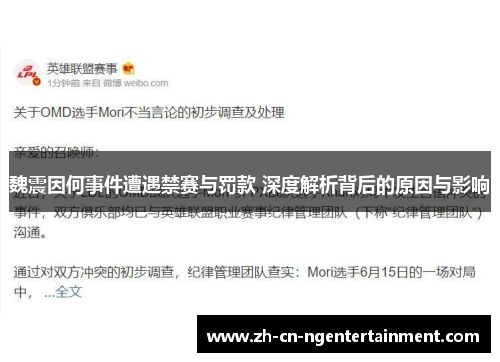 魏震因何事件遭遇禁赛与罚款 深度解析背后的原因与影响